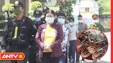 Khởi Tố Nhóm Đối Tượng Có Súng Chuyên Trộm Cắp Dây Cáp Điện | Tin Tức 24h | ANTV