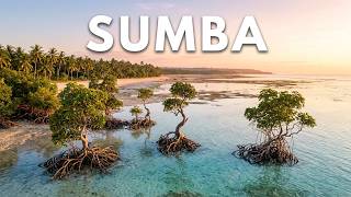 FPV Drone Over Sumba — Mangroves, Palms, Falling Tide