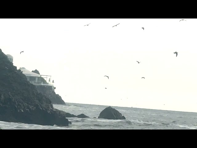 thumbnail img16x9