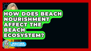 How Does Beach Nourishment Affect The Beach Ecosystem? - Weather Watchdog