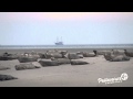 60 Sekunden Pellworm: Seehunde auf Norderoogsand