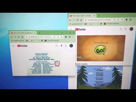 Blue’s Clues, Nature Cat, Wild Kratts & Work It Out Wombats Credits