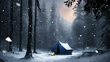 Winter, heavy snow, blizzard, winter blizzard, wind sounds for sleep, meditation and relaxation