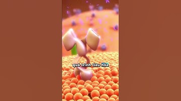 Người tiểu đường nên ăn lạc đậu phộng? Bác sĩ nói gì? | Cao Minh Trường