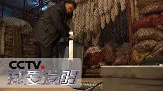 《我爱发明》 连环灭鼠记 无诱饵连续捕鼠器 20181110 | CCTV科教