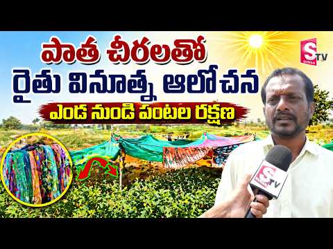 రైతు వినూత్న ఆలోచన.. | Farmer innovative Idea To Protect Crops With Old Sarees From The Sun