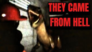 Hell In The Raptor Pit