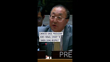 'Please show some respect at least’, Chinese UNSC president tells Israeli envoy