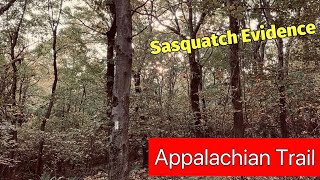 Evidence of Sasquatch vocals on the Appalachian Trail