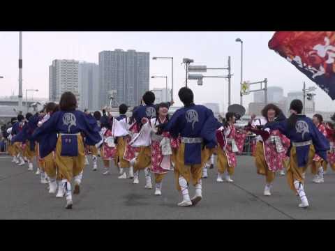 法政大学鳳遥恋＠2015　東京マラソン