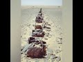 بعد مائة عام من الان