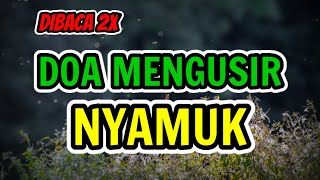 Doa Untuk Mengusir Nyamuk Resimi