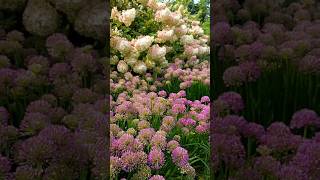 Arboretum, Pretty Flowers At Arboretum