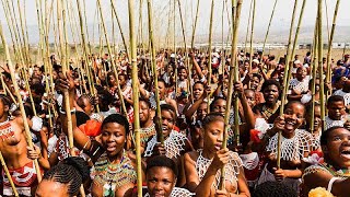 South Africa: Joy as Zulu reed dance festival returns | Africanews