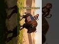 ambisi seekor monyet #bisonvssinga #singagurun #bisonamerika #pertarunganhewan #dramaalam