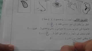 السنة الاولي ابتدائى حل اختبار التربية العلمية نمودج 1  الفصل الثاني الجيل الثانى