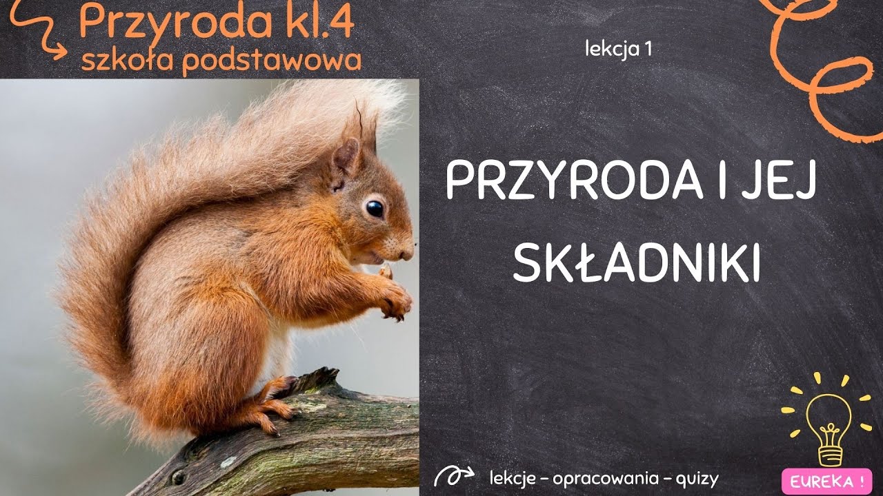 Przyroda klasa 4 - lekcja 1 - Przyroda i jej składniki - YouTube