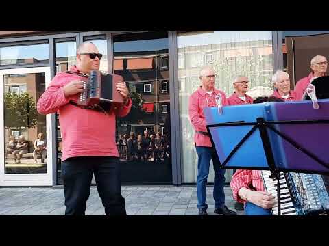 Drunken sailor - Odd Swallows Heerenveen (songtekst)