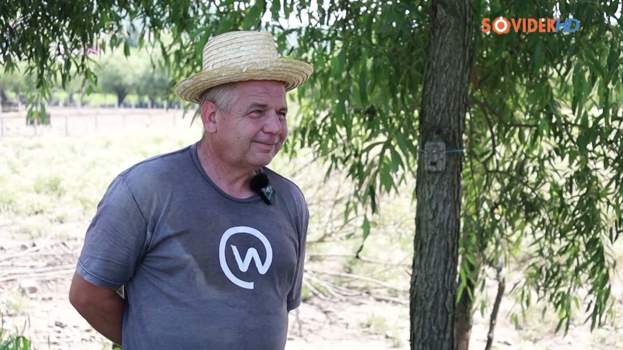 Gazdatúra (2025.december 15) - Mangalicatenyésztés