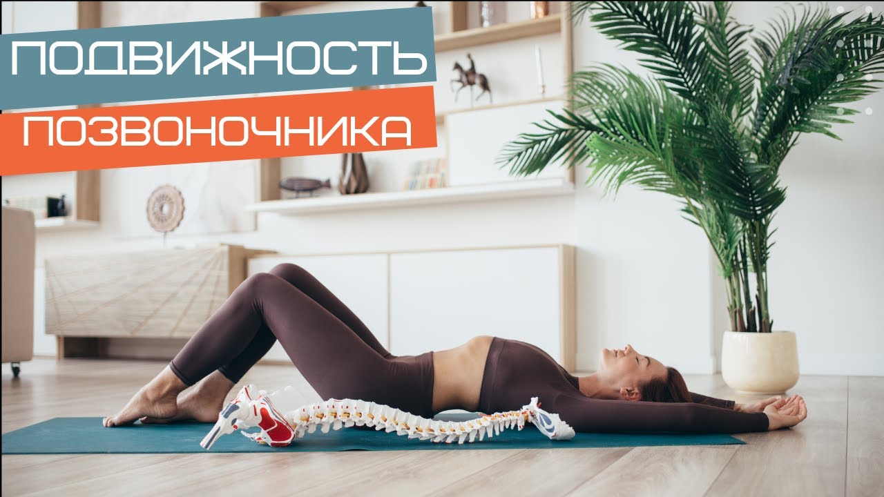 Улучшаем подвижность позвоночника