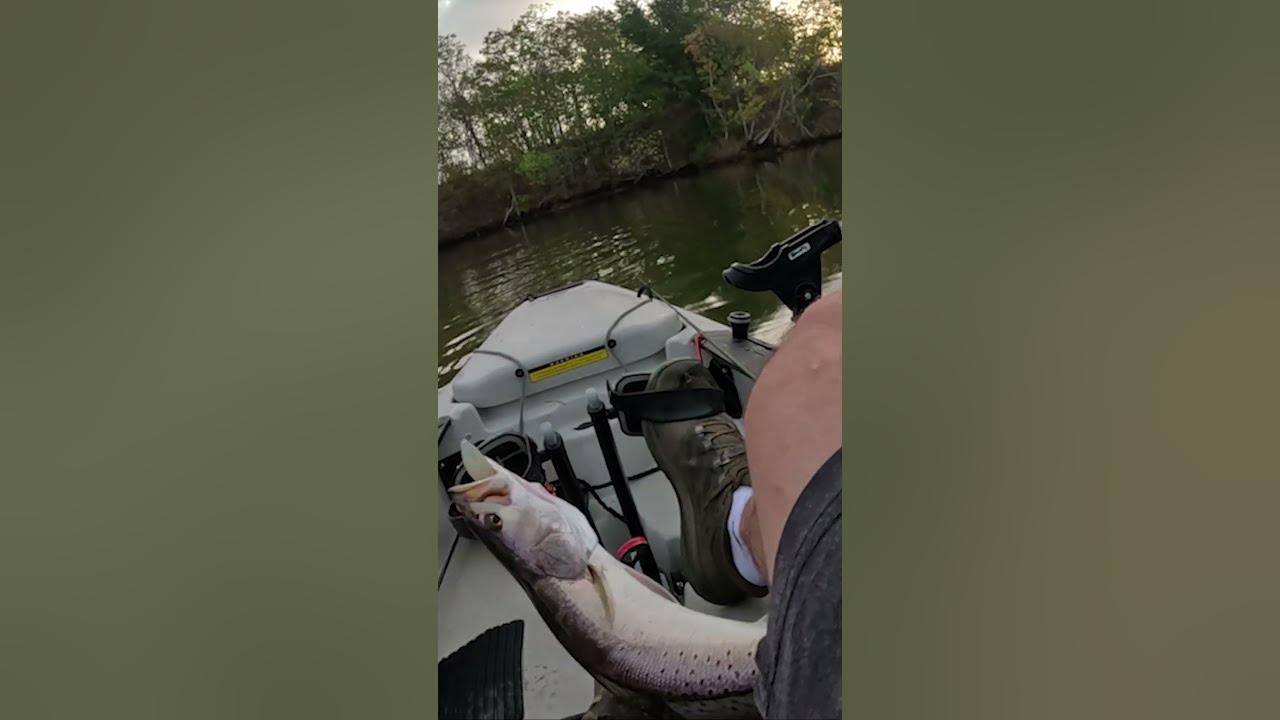 Big Speckled Trout destroyed this popping cork YouTube