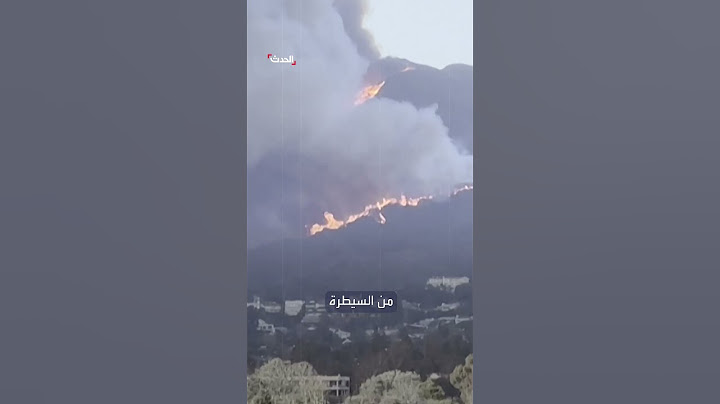 حرائق لوس أنجلوس تتمدد والسلطات لا تزال تحقق في سبب اندلاعها