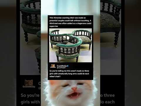 Victorian Couples Needed A Chaperone For This Awkward Chair Memes Shorts