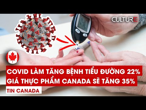 Video: Thú cưng từ tạp chí và báo cũ của Samuel Price