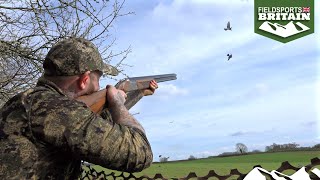 How to shoot pigeons with a gun that doesn’t fit