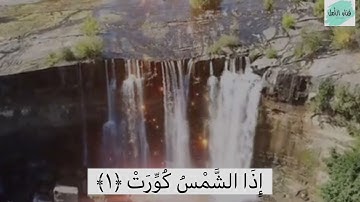 القارئ رعد الكردي سورة التكوير