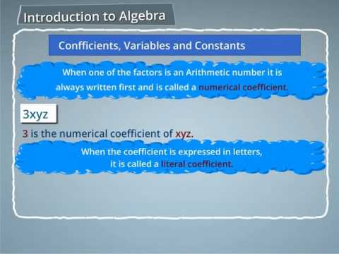What are coefficients, variables and constants