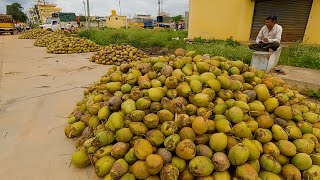 ಚೇಳೂರು ತೆಂಗಿನಕಾಯಿ ಸಂತೆಯ ನಡಿಗೆ ನೋಟ