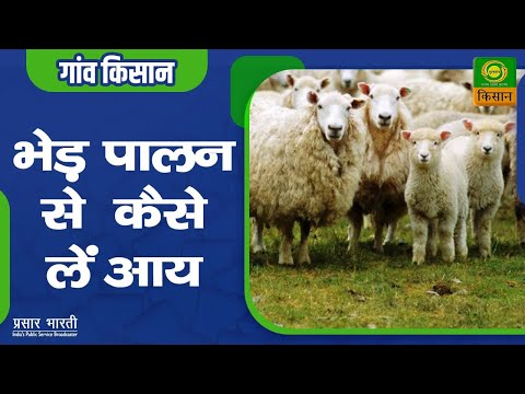 गाँव किसान : भेड़ पालन से कैसे लें आय  | Gaon Kisan | May. 18, 2021