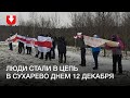 Цепь солидарности в Сухарево днем 12 декабря