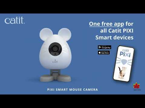 Catit - PIXI Smart Mouse Camera - video from Maplepets