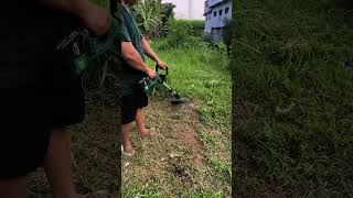 Tanzu mesin potong rumput portable torsi tinggi.1011 #tanzu #mesinrumput #tanzumesinrumput