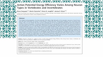 Action Potential Energy Efficiency