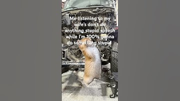 Mechanic #diesel #automobile #automotivetools #funnyjokes #funny #jokes #memes #shorts #fypage