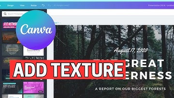 How to Add Texture in Canva 2024?