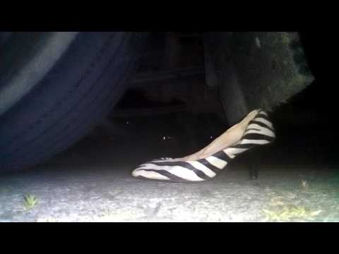 Zehr getragen zebra schuhe
