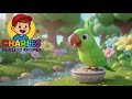 Main Hara Tota Pyara मैं हरा तोता प्यारा 🦜 Hindi Nursery Rhyme for Kids Charles Nursery Rhymes