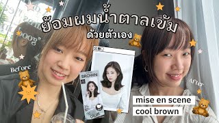 🧸ย้อมผมสีน้ำตาลเข้ม ด้วยตัวเอง ของ Hello Cream Cool Brown สีเจนนี่ (mise en scene) 🤎 | garing note