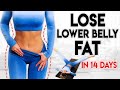 LOSE LOWER BELLY FAT in 14 Days | 8 minute Lockdown Home Workout