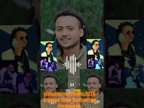 Sabboonaa Alamayyoo Entertainment Boruuf