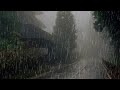 Lluvia Relajante Para Dormir - Sonido de Lluvia en Bosque Brumoso - Rain Sounds For Sleeping 468