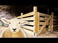 How to make a Sheep Barn