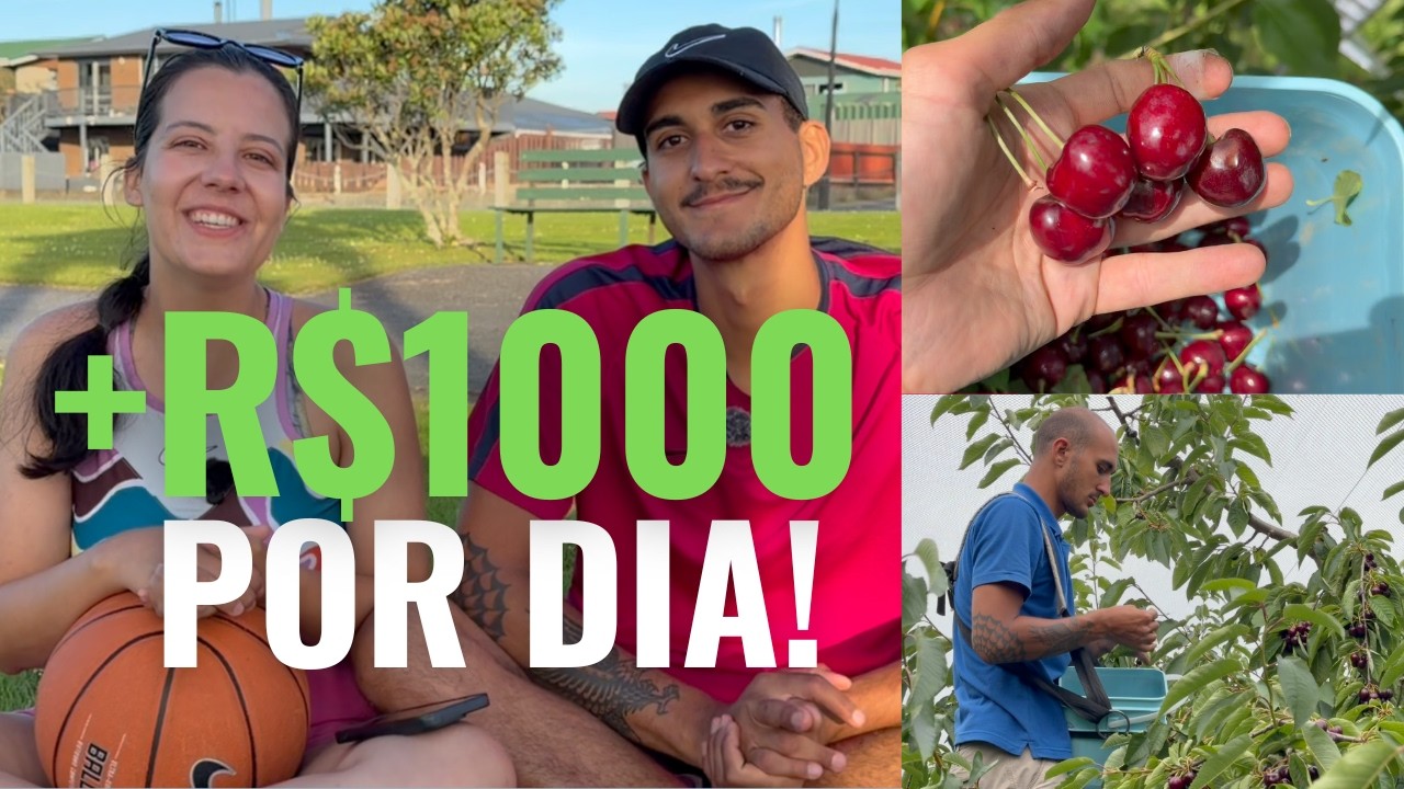 COMO É TRABALHAR NA TEMPORADA DE CEREJA E QUANTO GANHAMOS NZ