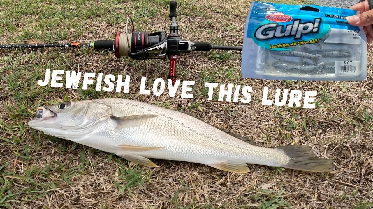 Jewfish loved this lure! YouTube