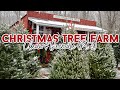 Christmas Clean &amp; Decorate With Me 2022 (Part 3) 🎄 Christmas Tree Farm
