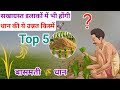 सूखाग्रस्त इलाकों में भी होगी 40। कुं0 तक उपज 2025 में लगाएं 🌾 धान की ये उन्नत किस्में #basmatidhan